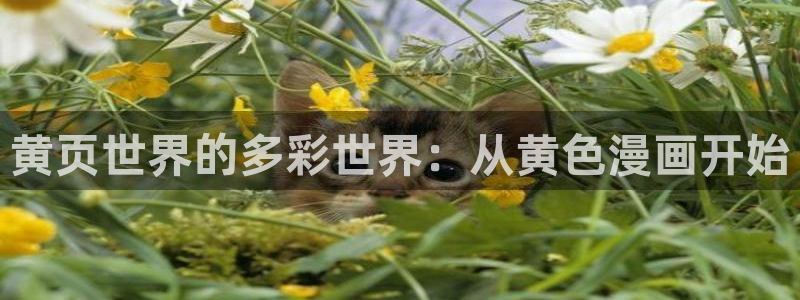 羞羞漫画在线观看大全